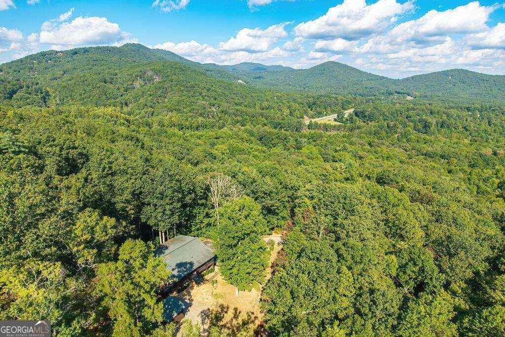 320 Mossy Creek Trail Murphy - Photo 48