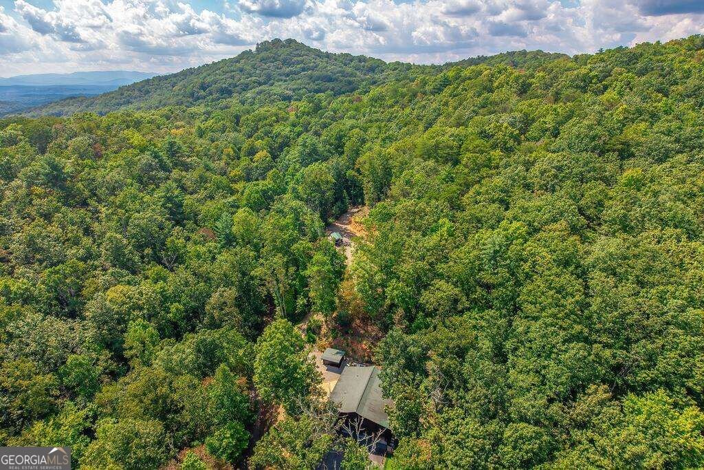 320 Mossy Creek Trail Murphy - Photo 49