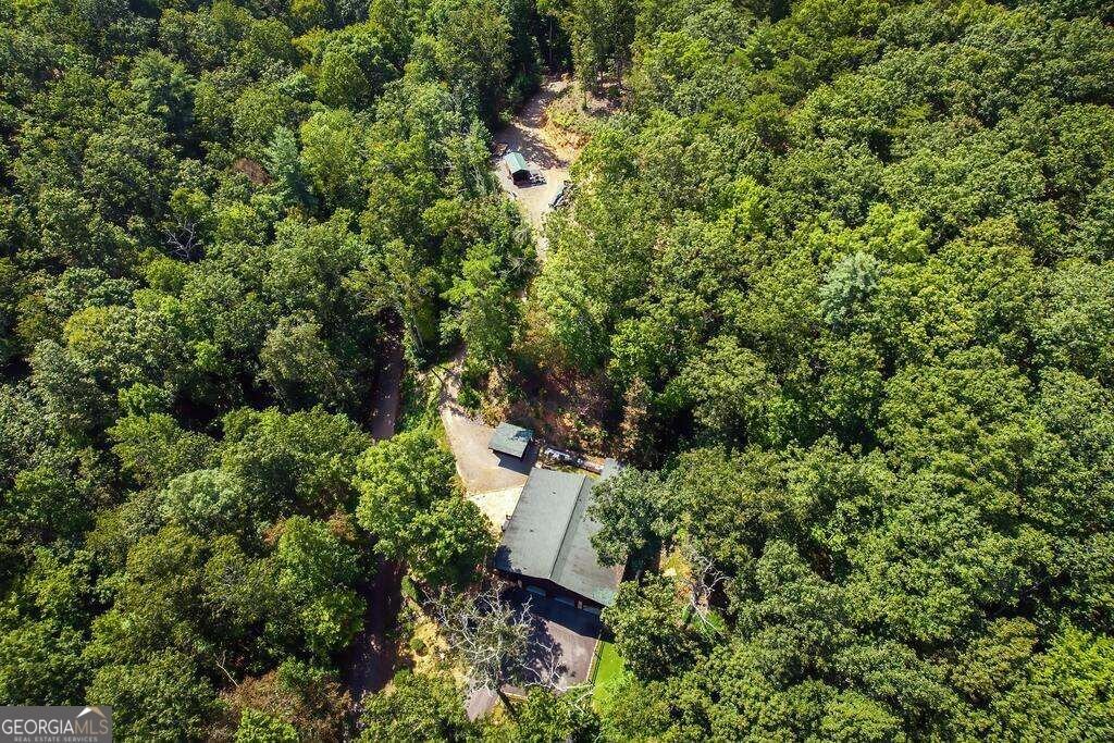 320 Mossy Creek Trail Murphy - Photo 50