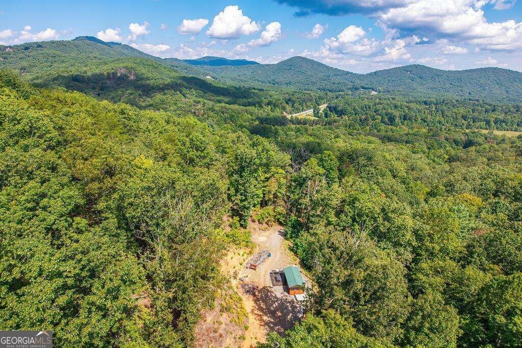 320 Mossy Creek Trail Murphy - Photo 52