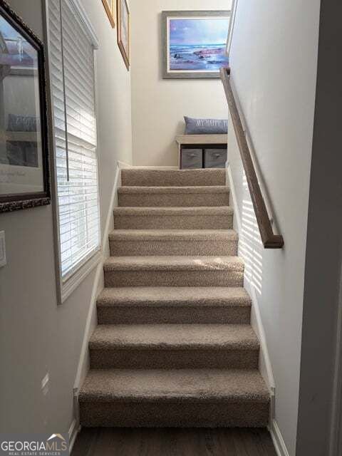 79 Wyevale Court Braselton - Photo 14