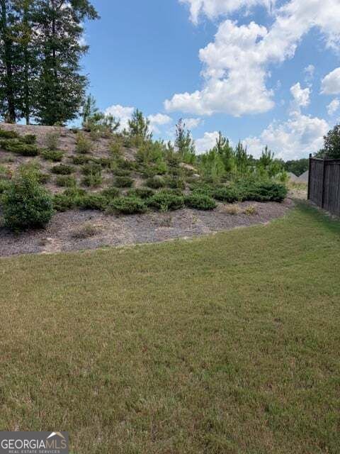 79 Wyevale Court Braselton - Photo 20