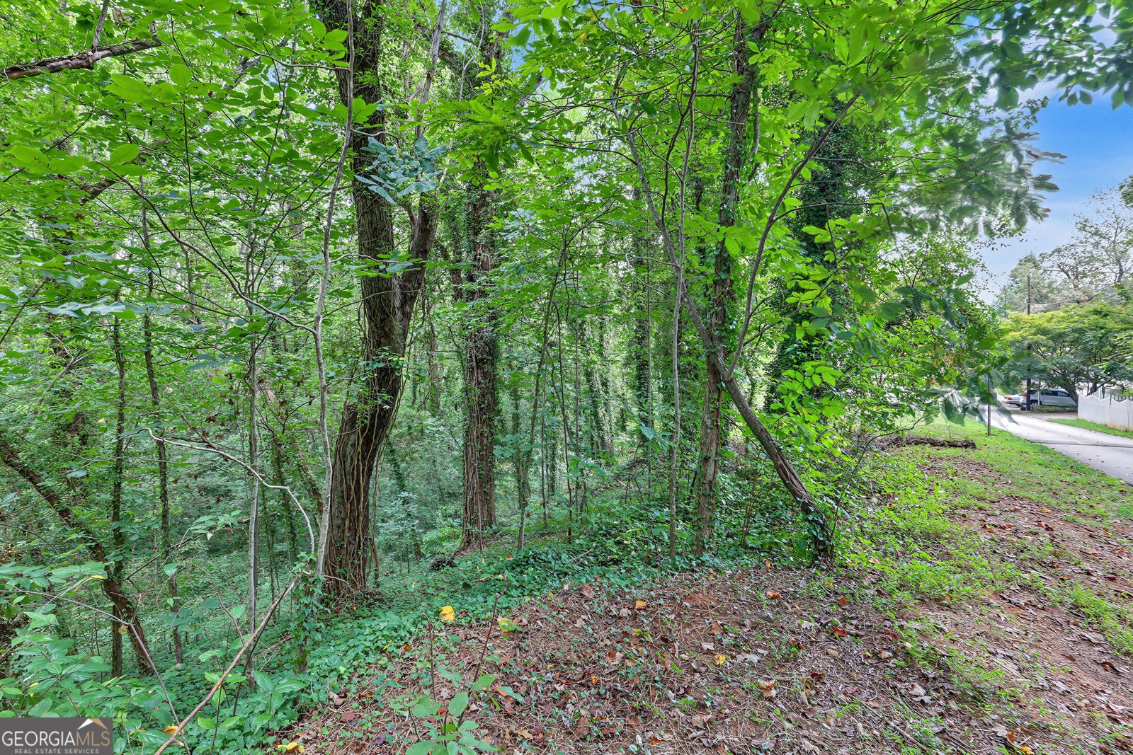 98 Pickett Hill Street Clayton - Photo 45
