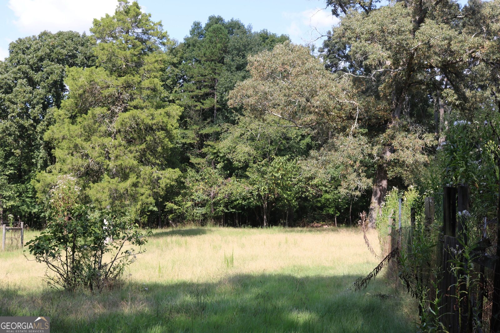 2096 Roy Woods Road Comer - Photo 13