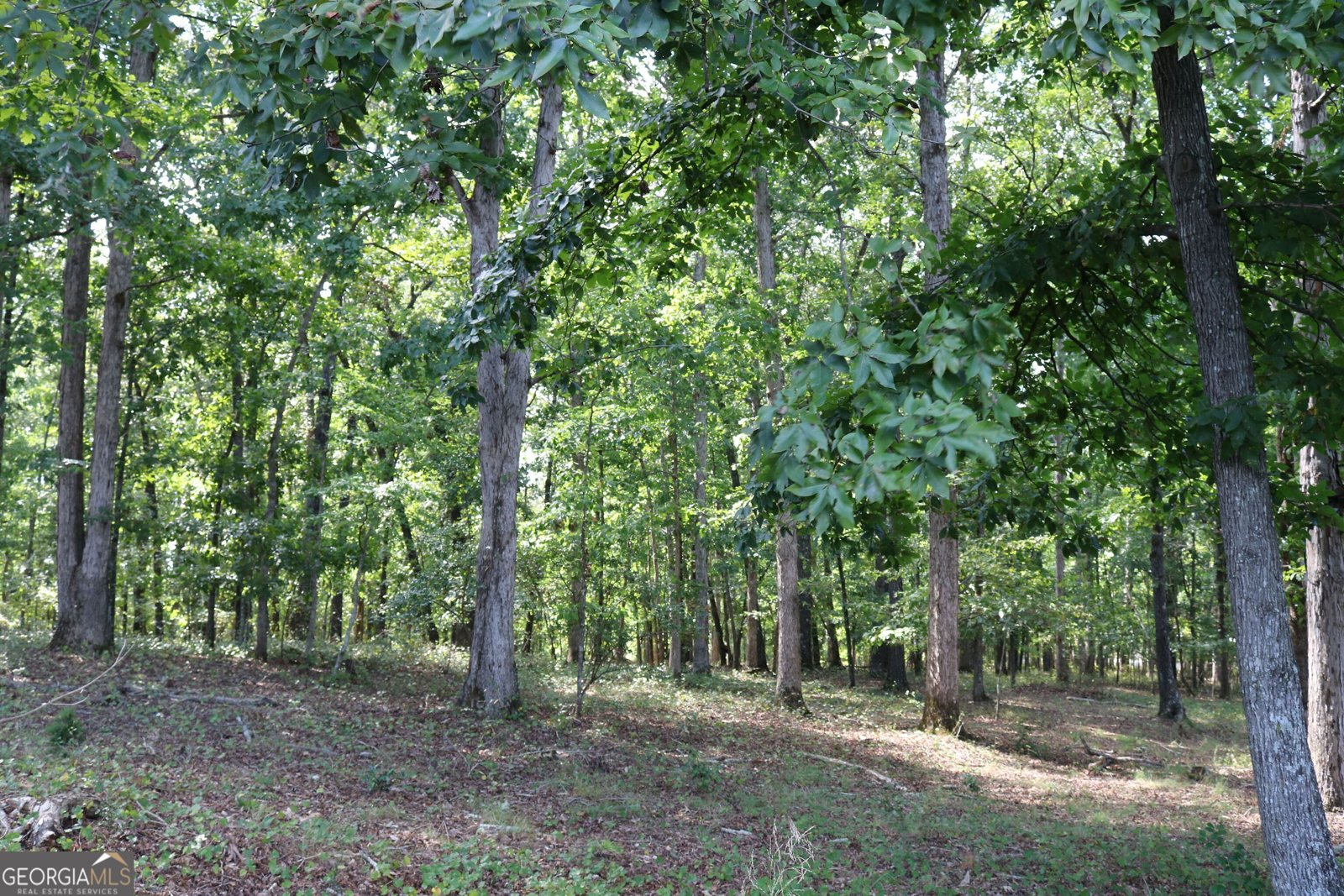 2096 Roy Woods Road Comer - Photo 14