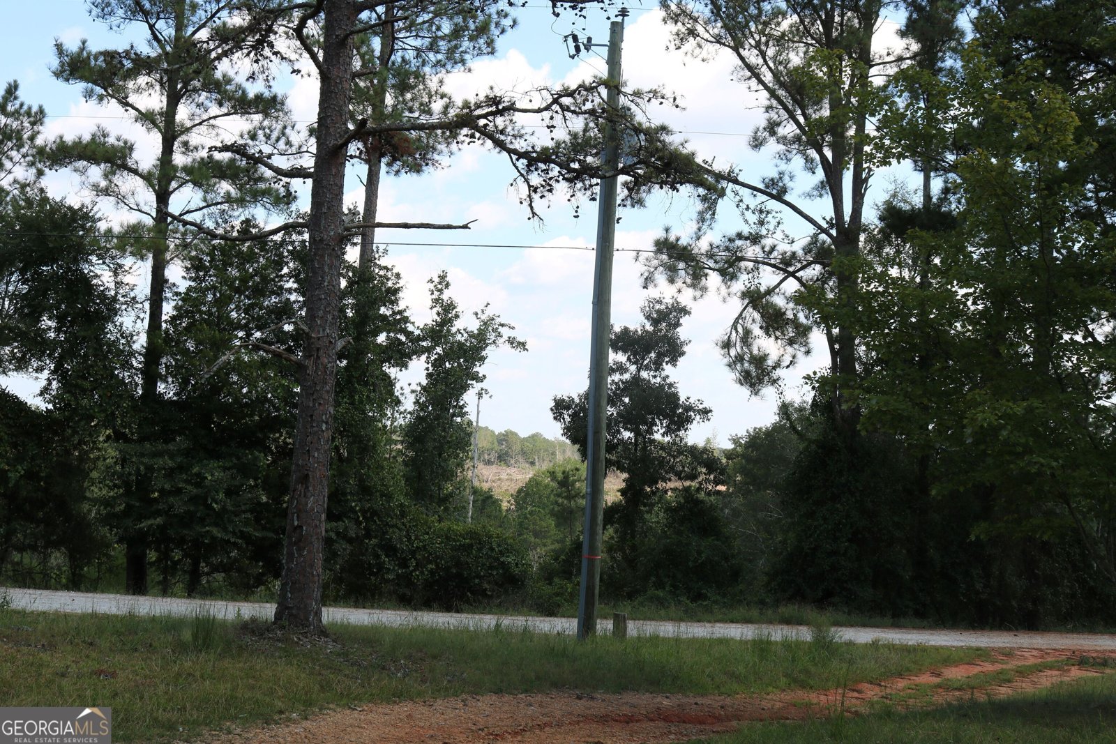 2096 Roy Woods Road Comer - Photo 16
