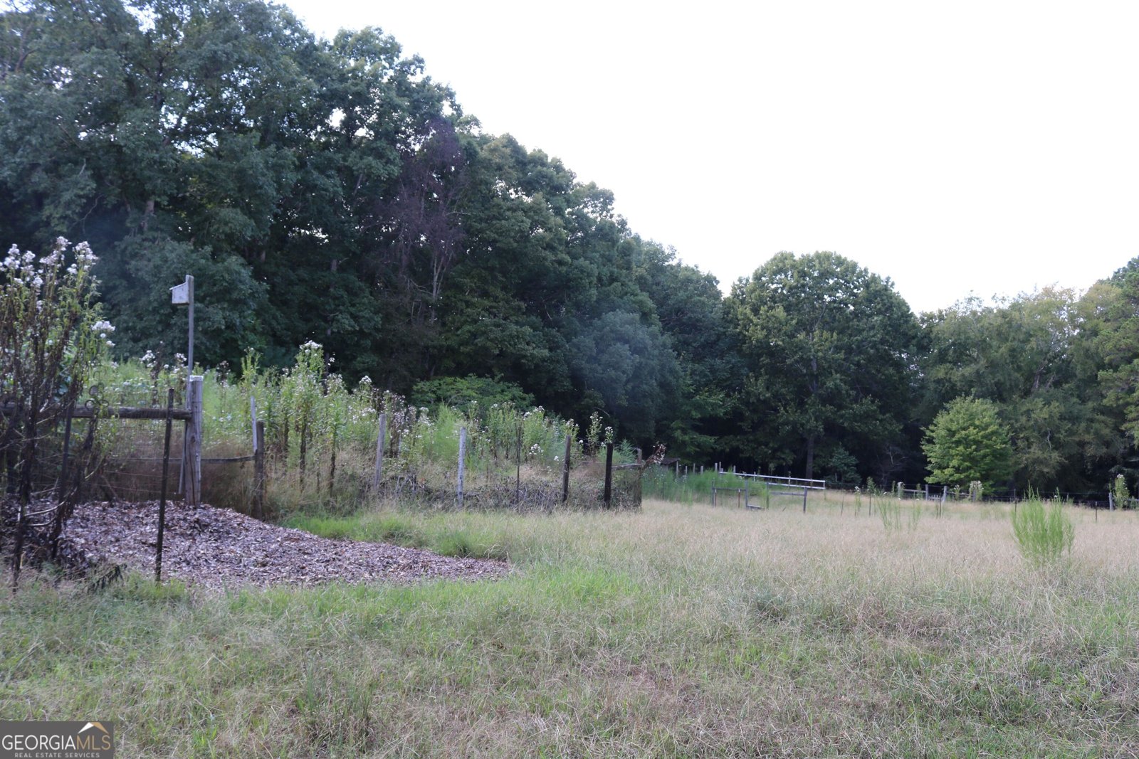 2096 Roy Woods Road Comer - Photo 18