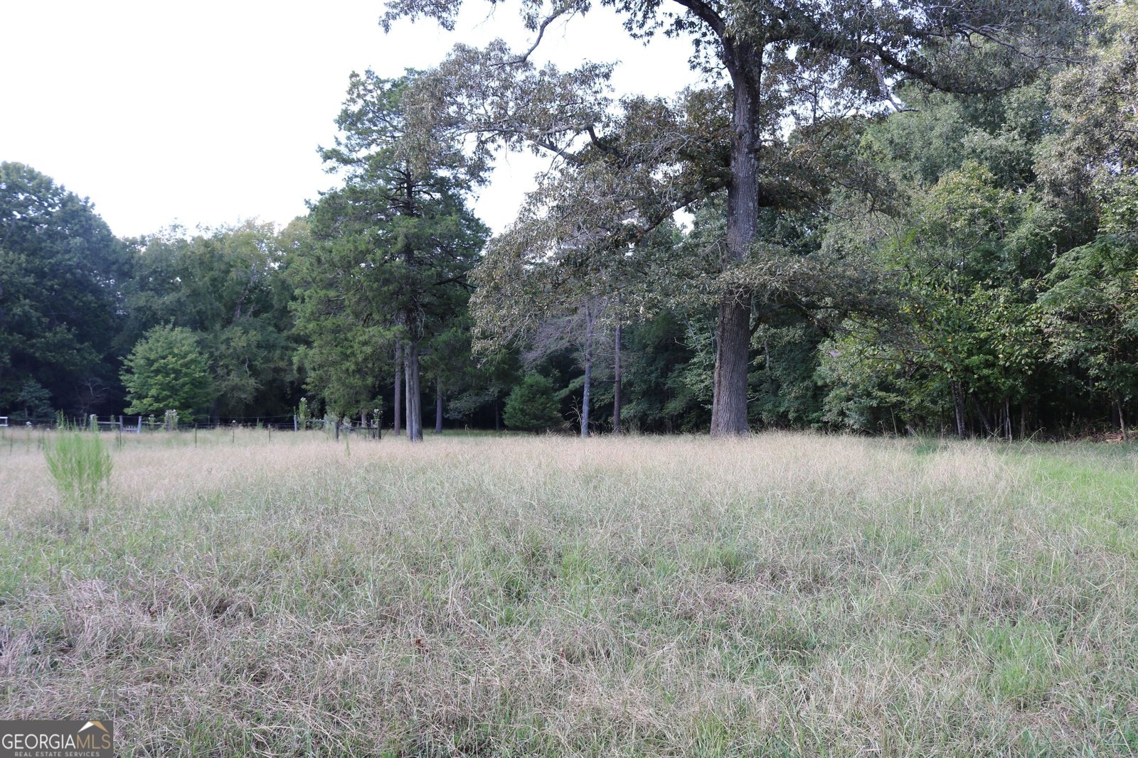 2096 Roy Woods Road Comer - Photo 19