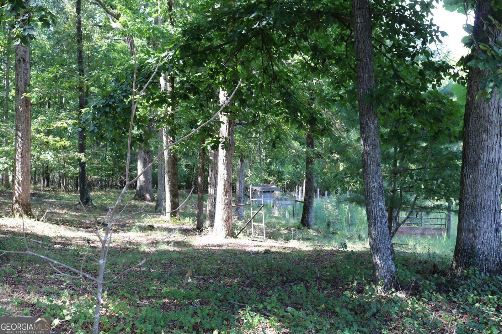 2096 Roy Woods Road Comer - Photo 20