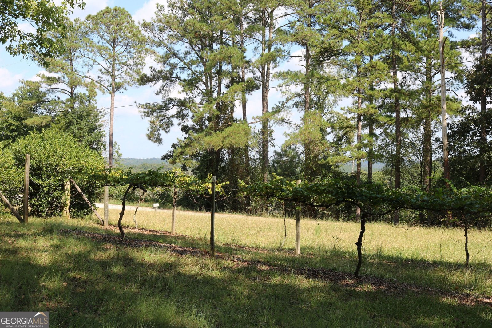 2096 Roy Woods Road Comer - Photo 24