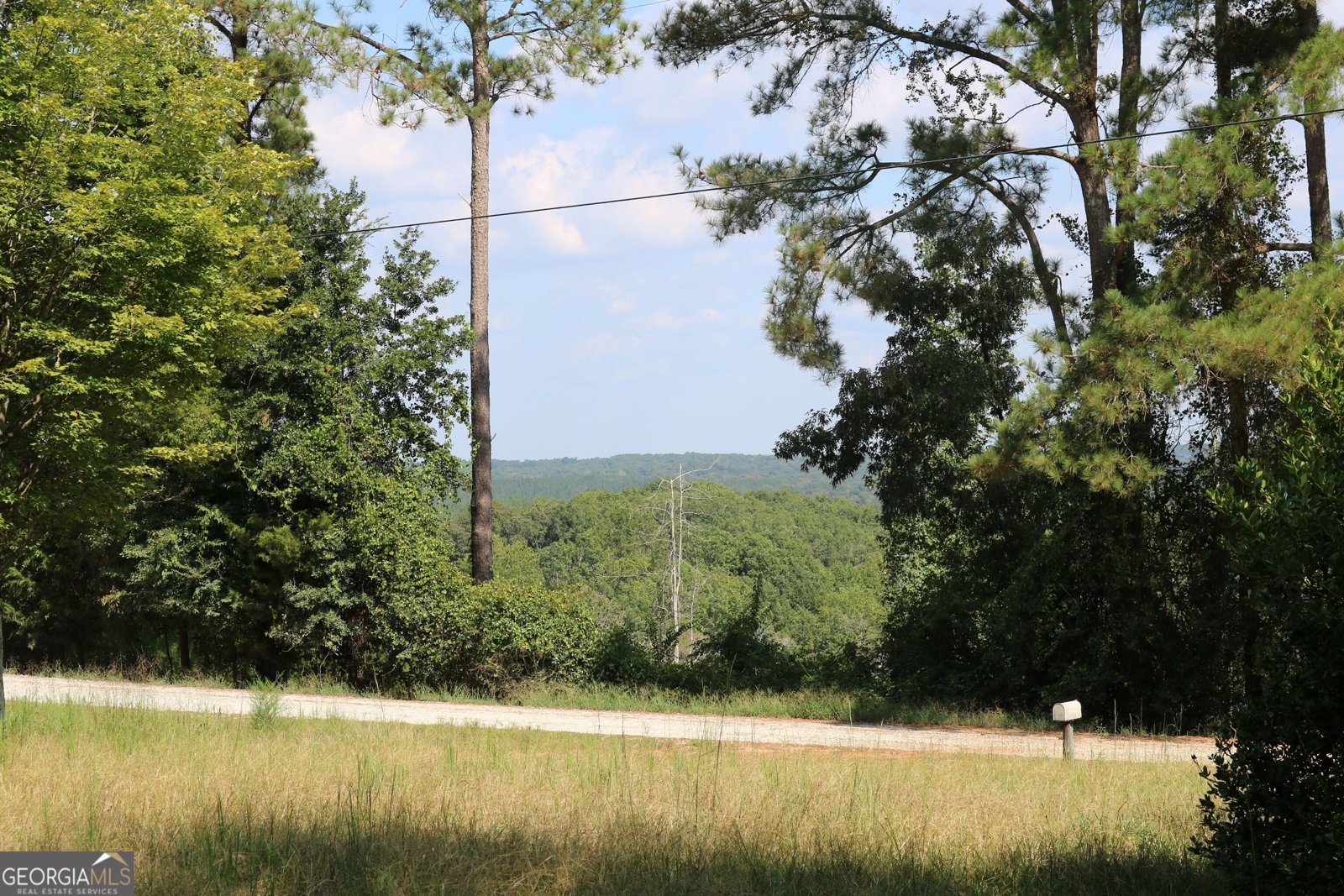 2096 Roy Woods Road Comer - Photo 26