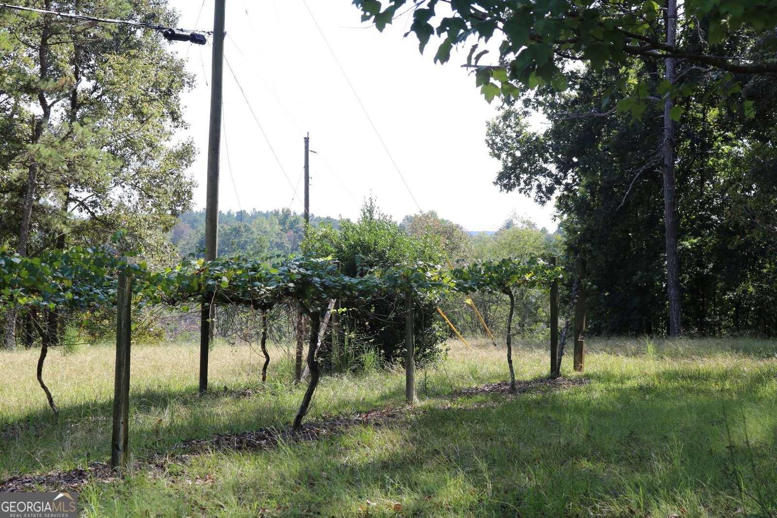 2096 Roy Woods Road Comer - Photo 27
