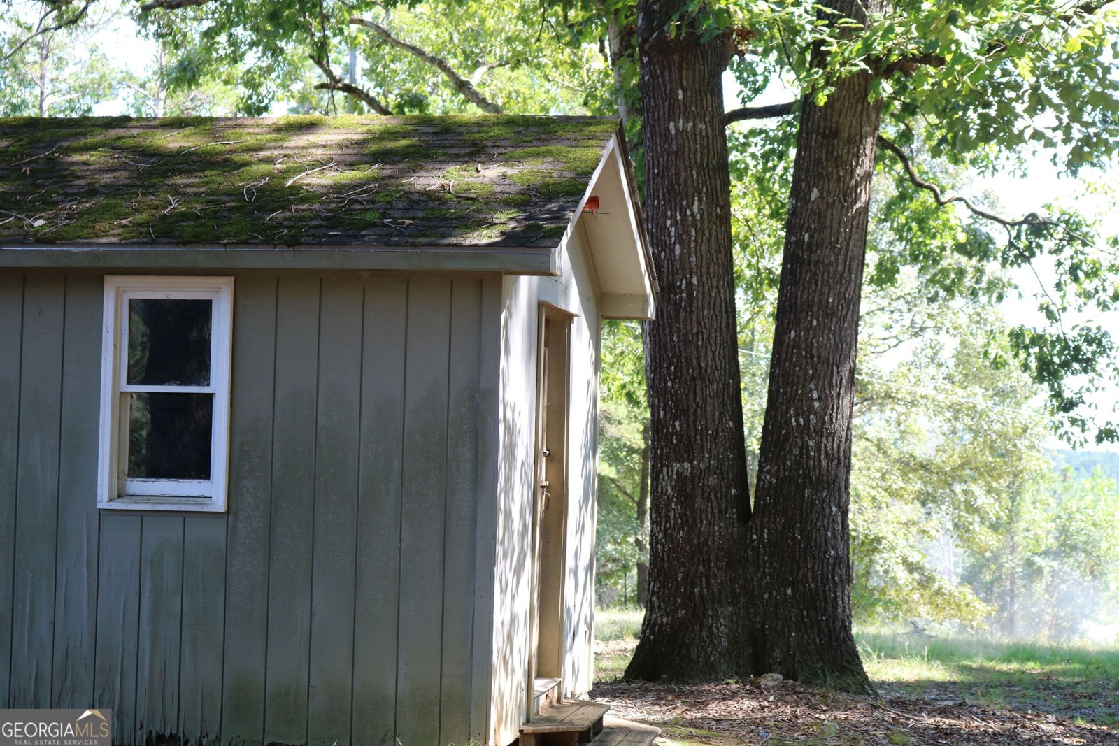 2096 Roy Woods Road Comer - Photo 29