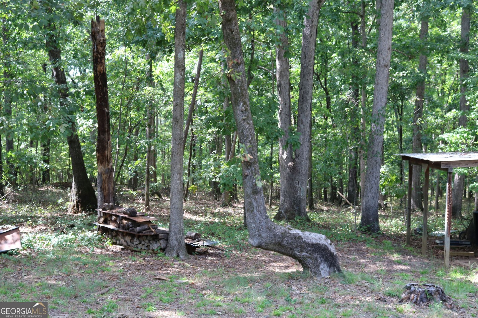2096 Roy Woods Road Comer - Photo 43