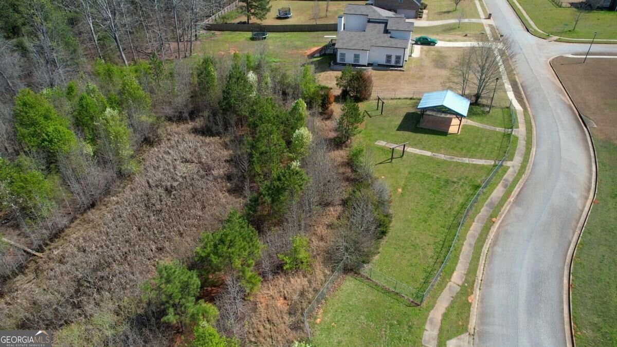 452 Trousseau Lane Mcdonough - Photo 23