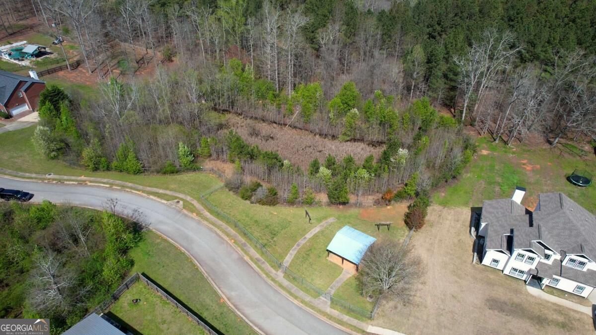 452 Trousseau Lane Mcdonough - Photo 24