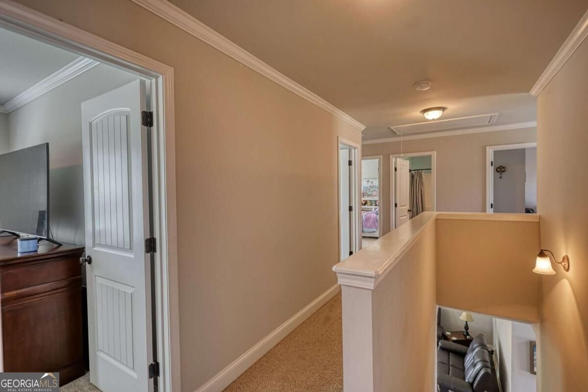 452 Trousseau Lane Mcdonough - Photo 51