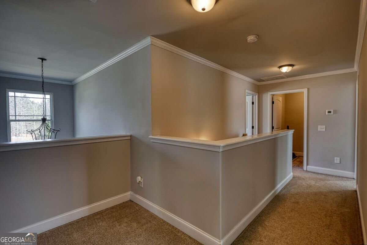 452 Trousseau Lane Mcdonough - Photo 52