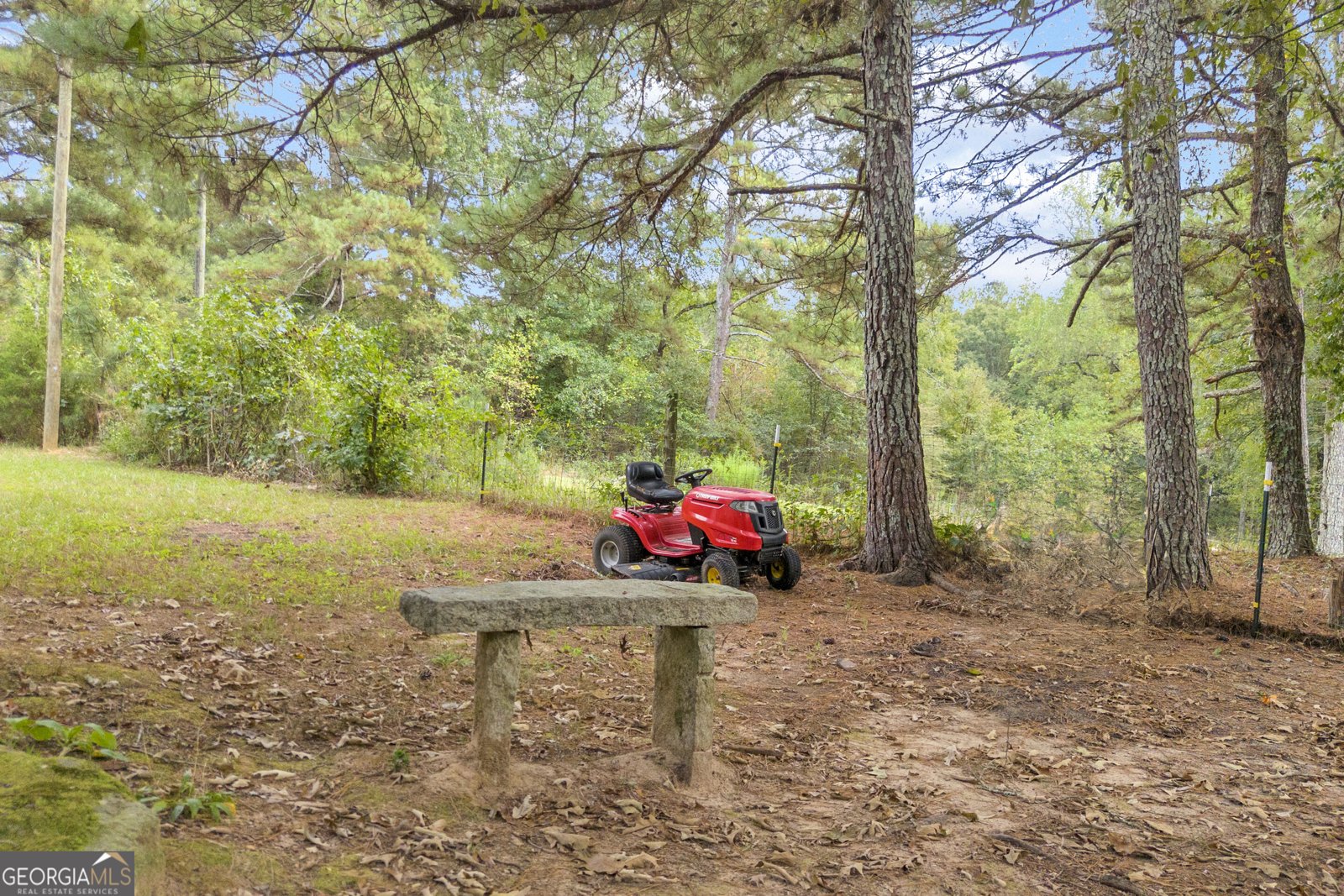 3919 McCullers Road Loganville - Photo 42