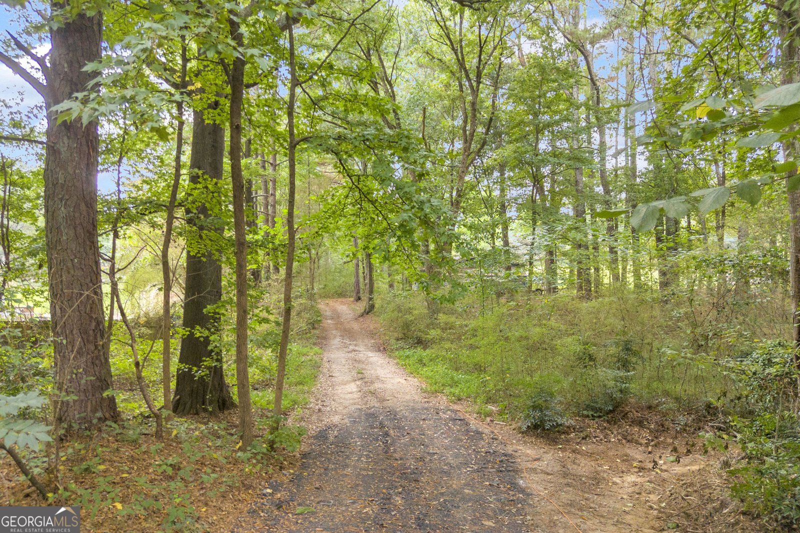 3919 McCullers Road Loganville - Photo 43