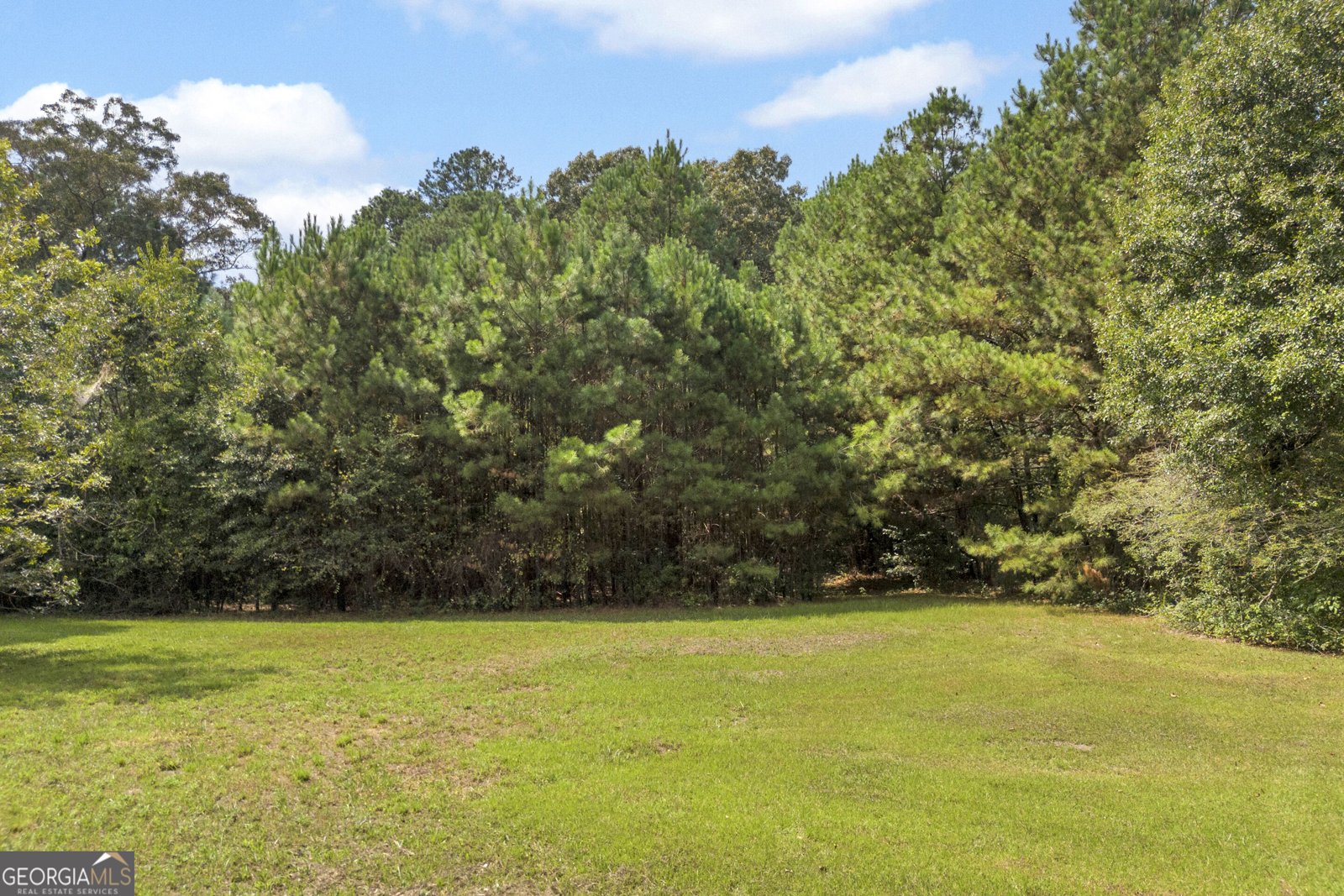 3919 McCullers Road Loganville - Photo 44