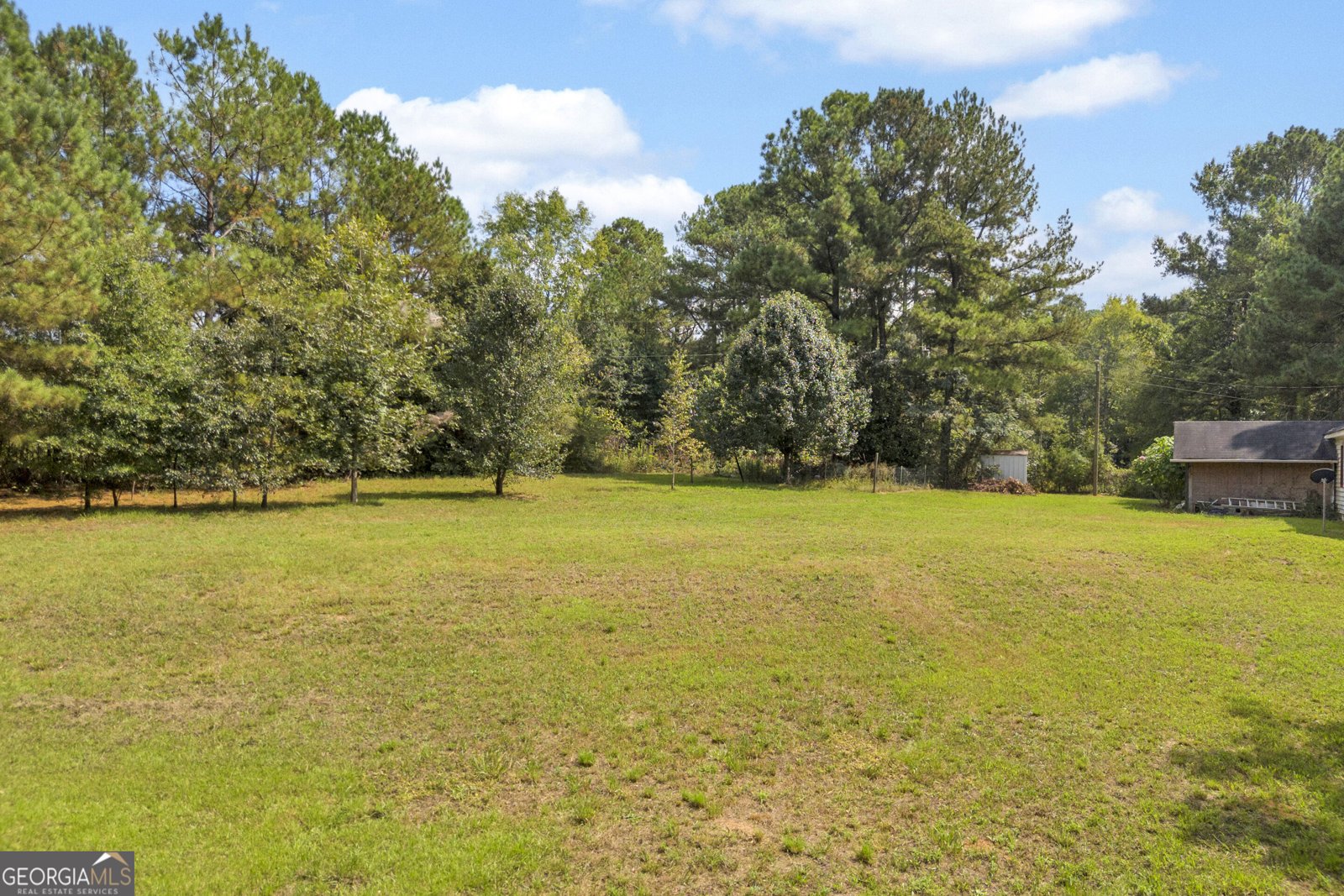 3919 McCullers Road Loganville - Photo 45