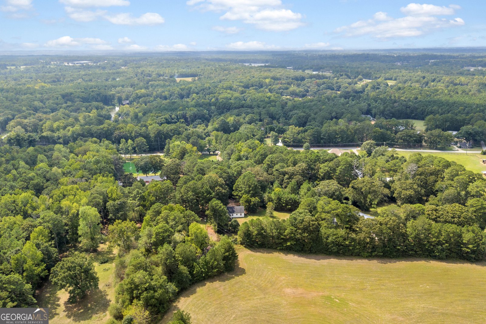 3919 McCullers Road Loganville - Photo 49