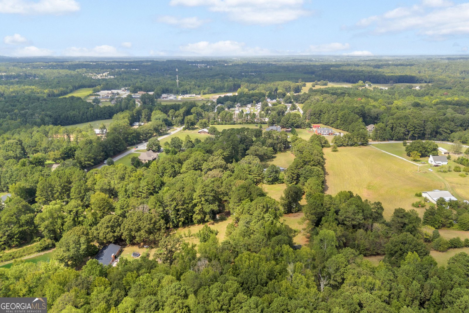 3919 McCullers Road Loganville - Photo 52