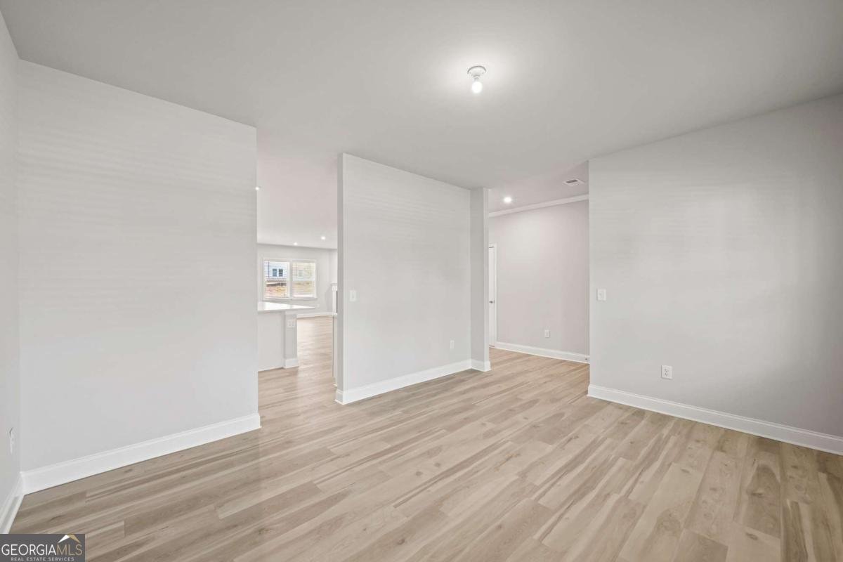 388 Capri Court Mcdonough - Photo 8
