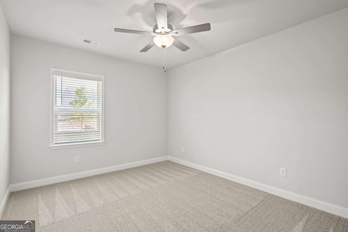 388 Capri Court Mcdonough - Photo 9