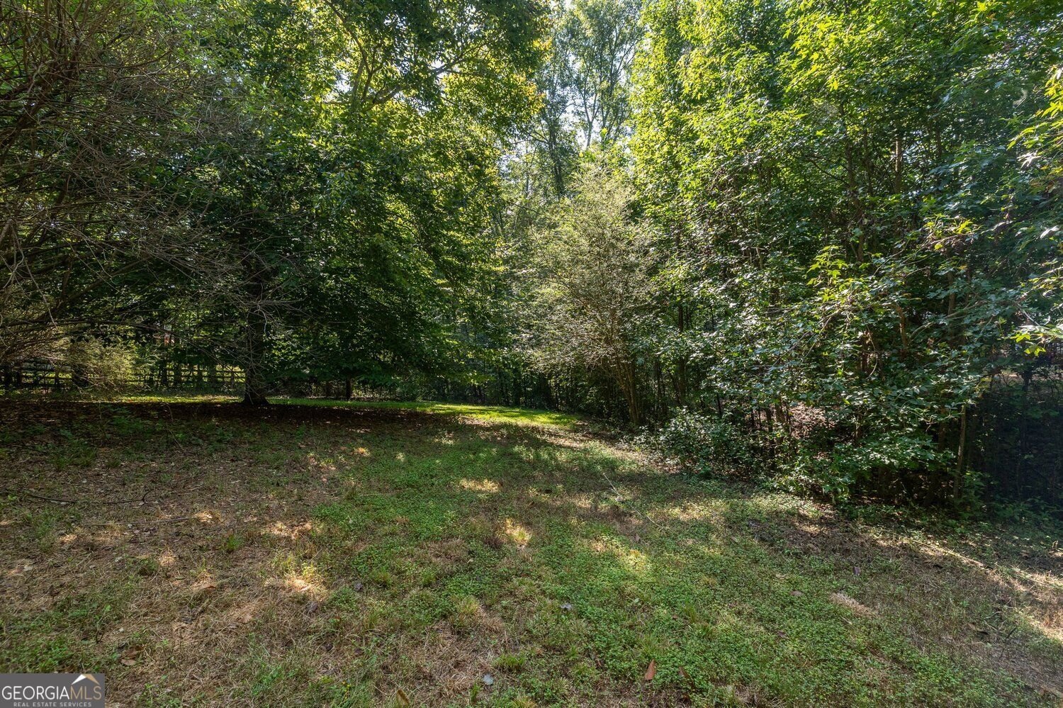 211 Sweetbriar Lane Canton - Photo 37