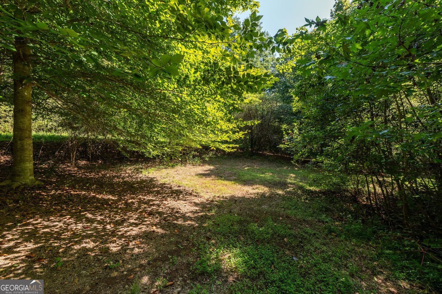 211 Sweetbriar Lane Canton - Photo 38