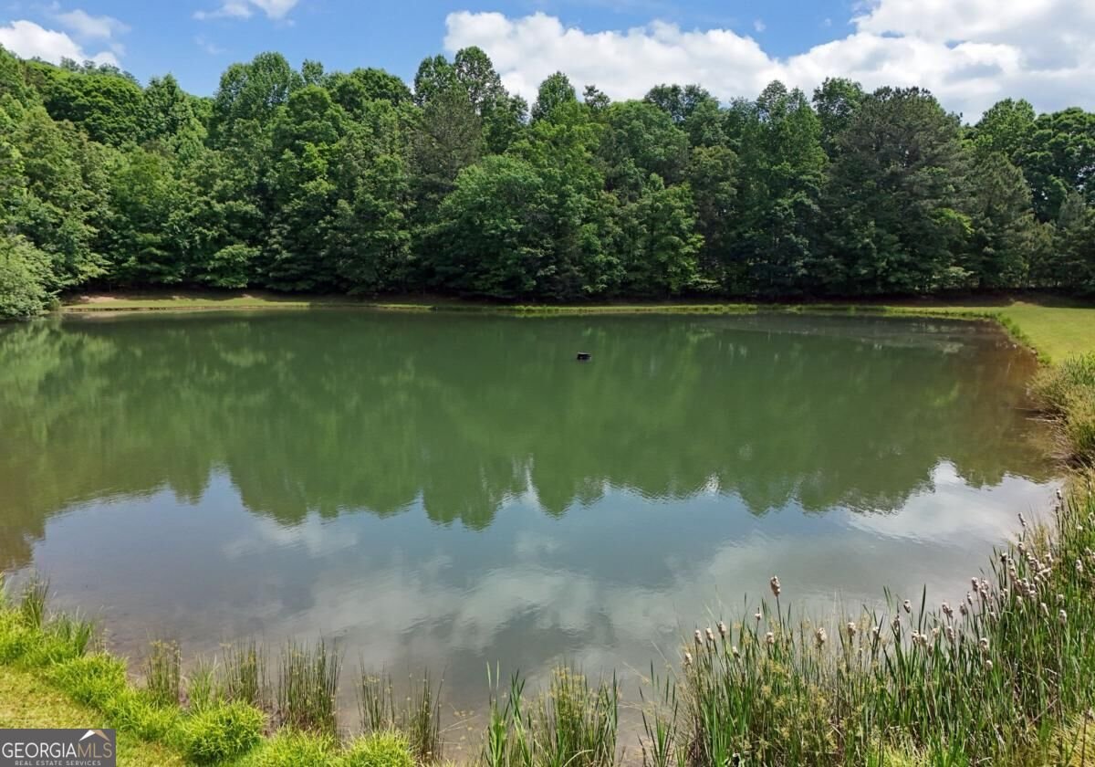 594 Summit Trace Blairsville - Photo 66