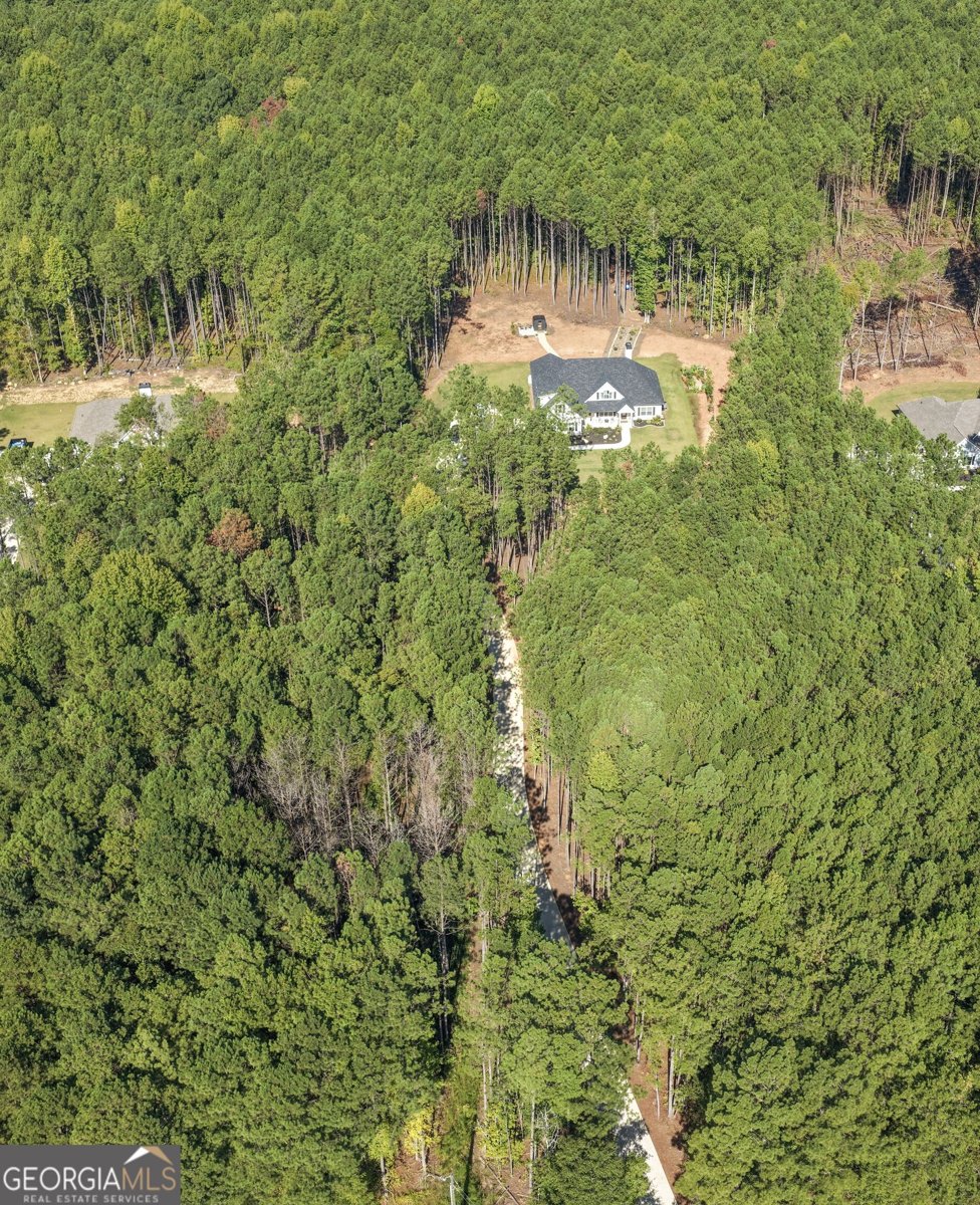 165 Mobley Road Griffin - Photo 45