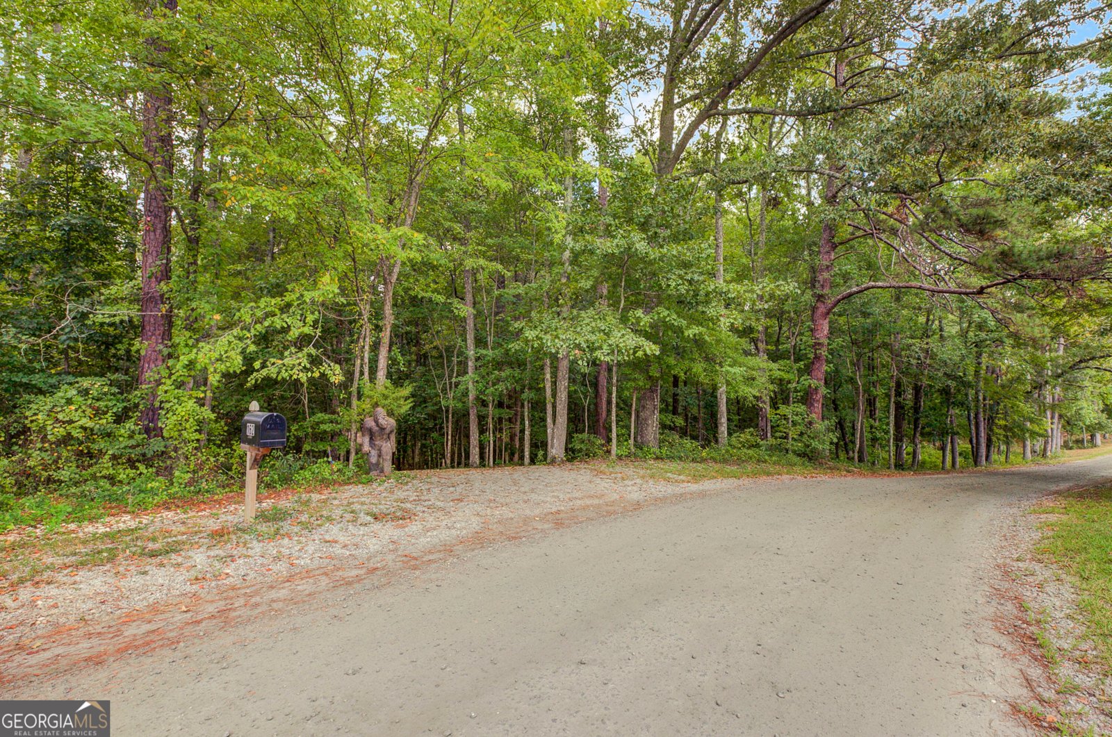 162 Thompson Road Senoia - Photo 11