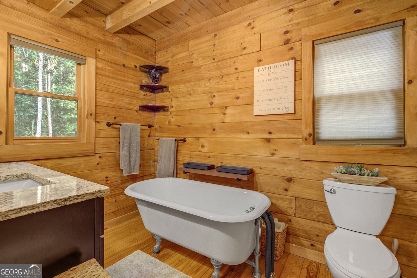 162 Thompson Road Senoia - Photo 22
