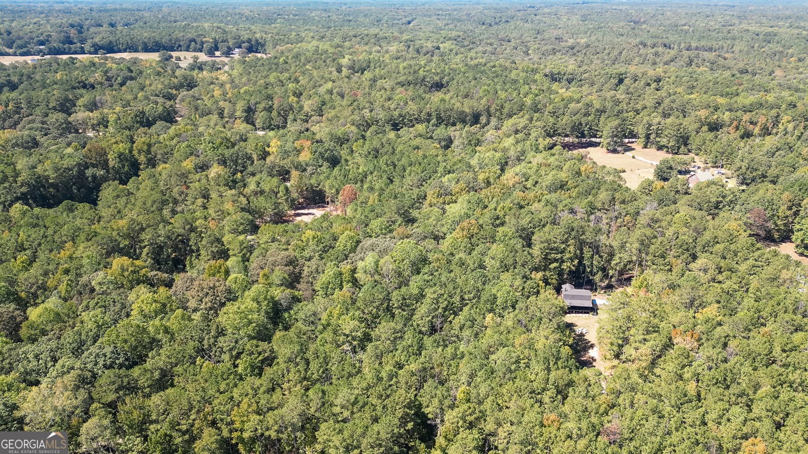 162 Thompson Road Senoia - Photo 33