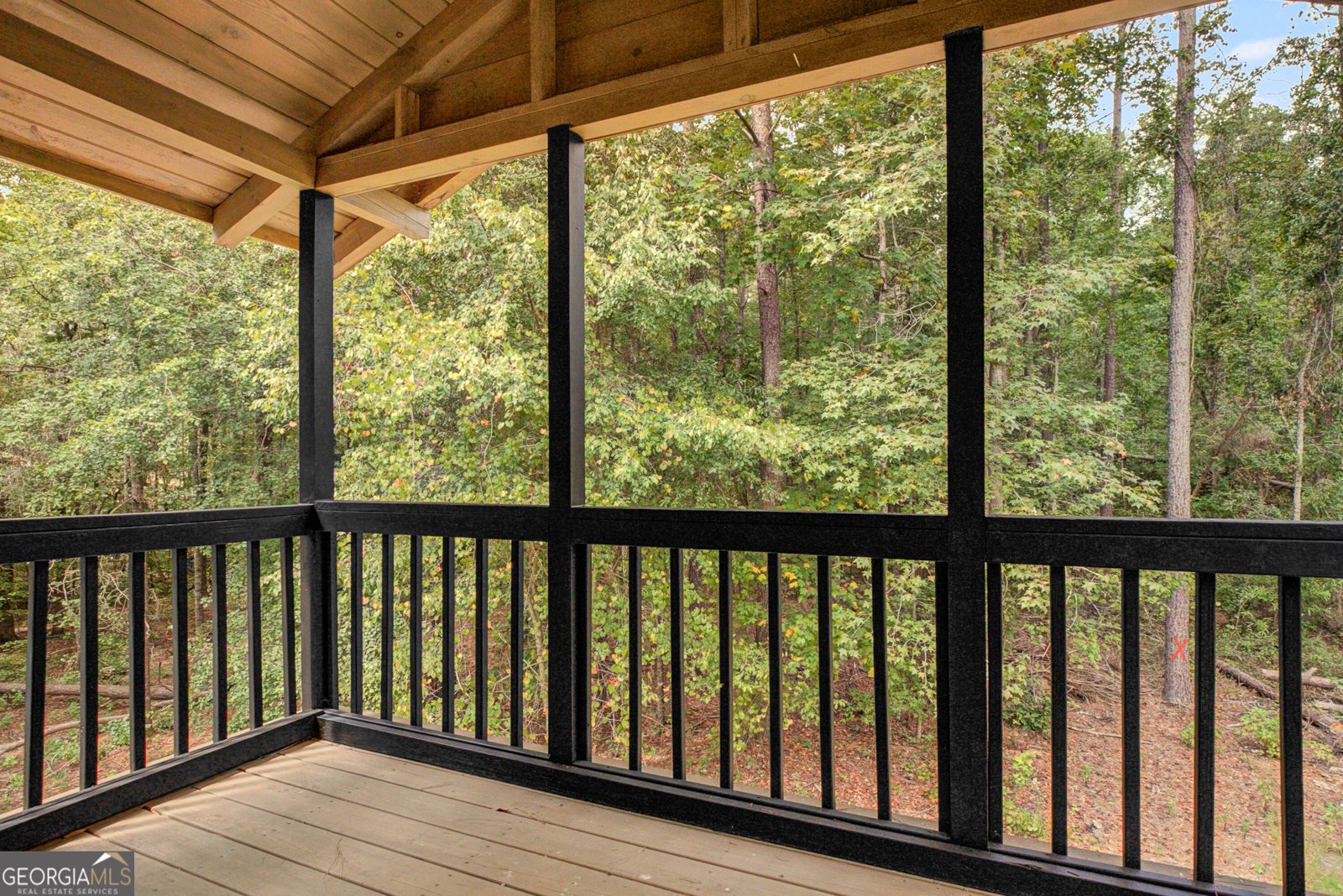 162 Thompson Road Senoia - Photo 7