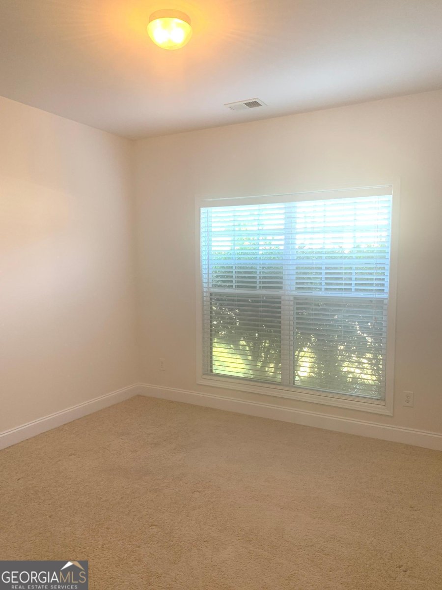 2118 Water Mill Court Buford - Photo 14