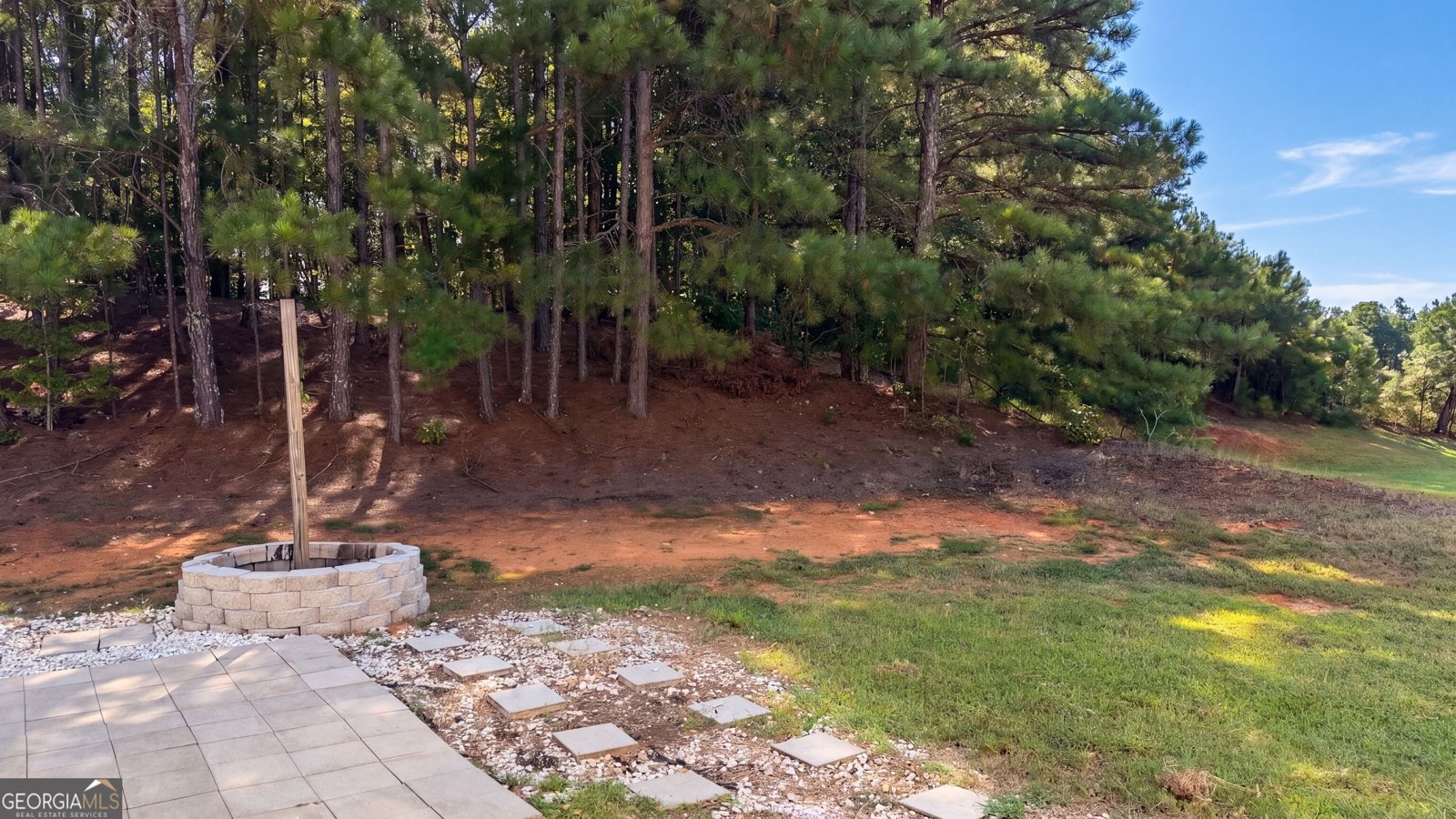 1668 Bennett Drive McDonough - Photo 6