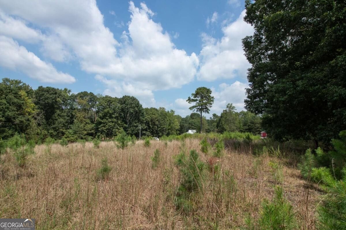 2439 Ila Road Commerce - Photo 59