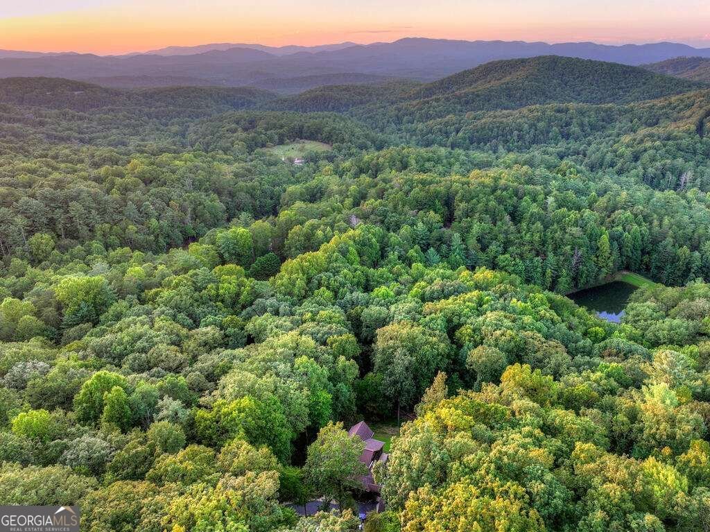 169 Walnut Mountain Road Ellijay - Photo 10