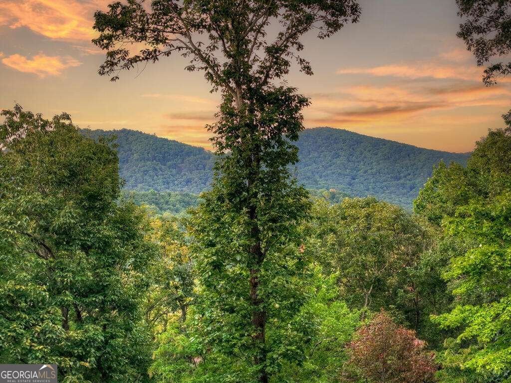169 Walnut Mountain Road Ellijay - Photo 40