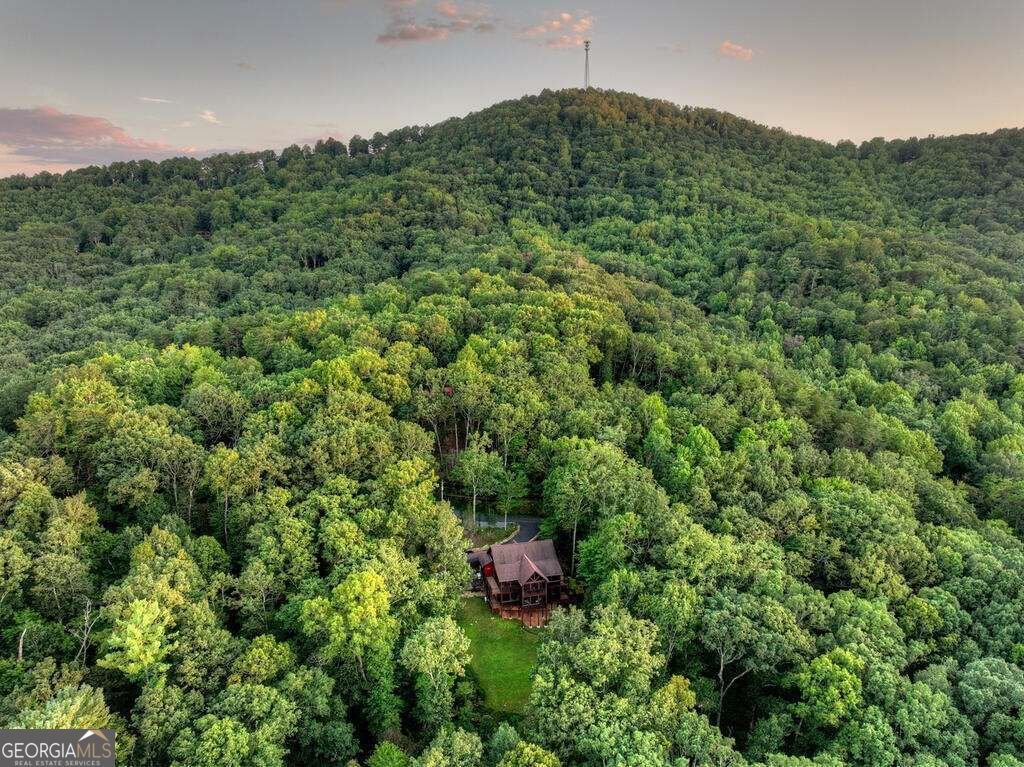 169 Walnut Mountain Road Ellijay - Photo 53