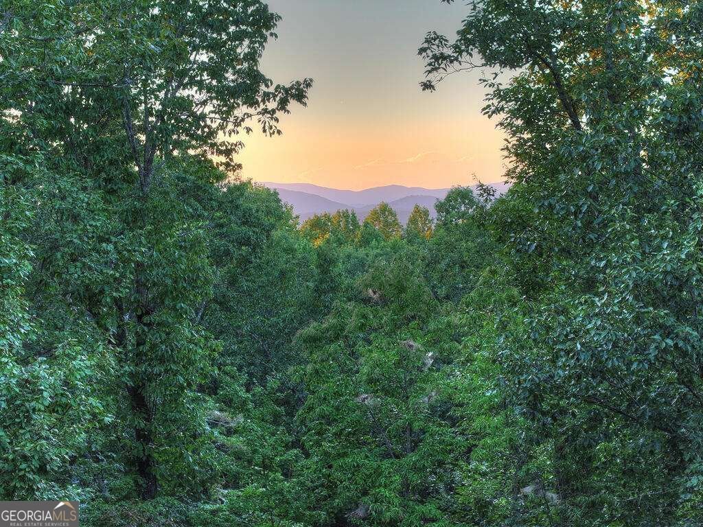 169 Walnut Mountain Road Ellijay - Photo 54