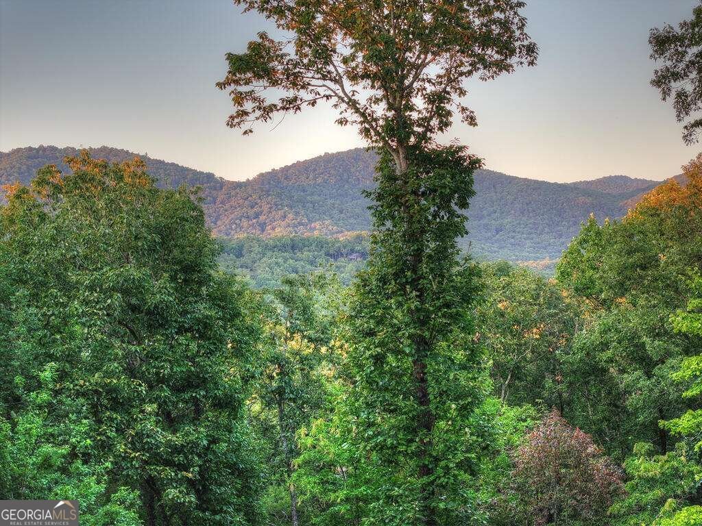 169 Walnut Mountain Road Ellijay - Photo 57