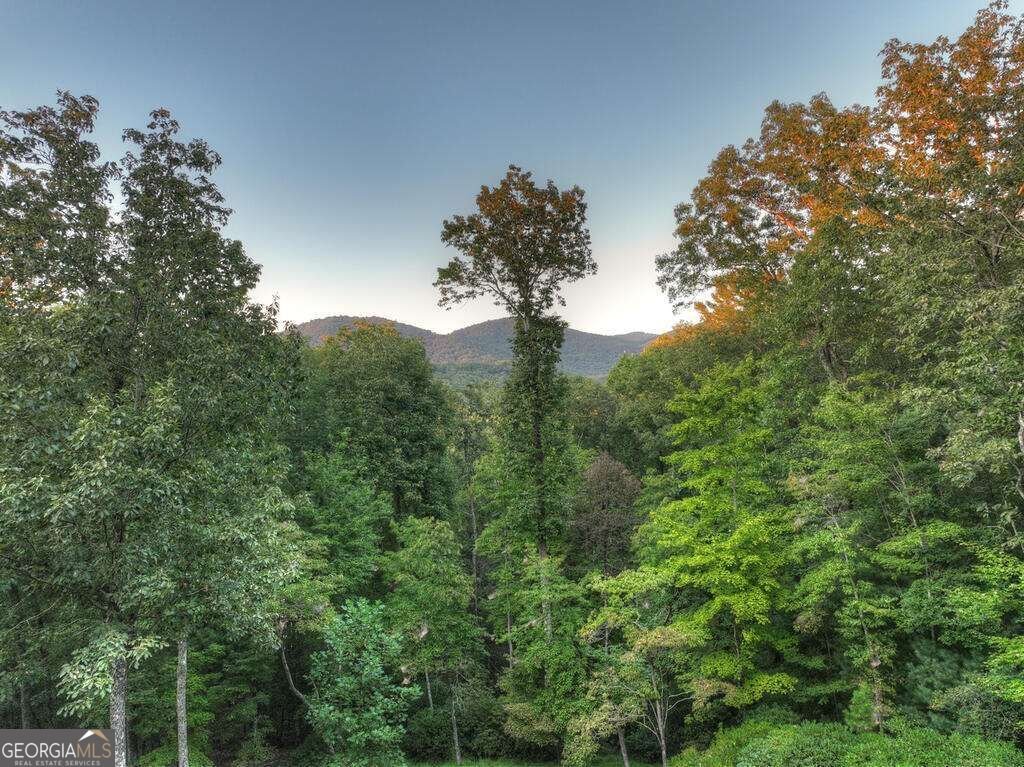 169 Walnut Mountain Road Ellijay - Photo 58