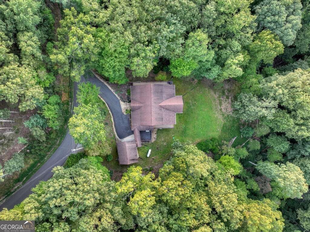 169 Walnut Mountain Road Ellijay - Photo 59
