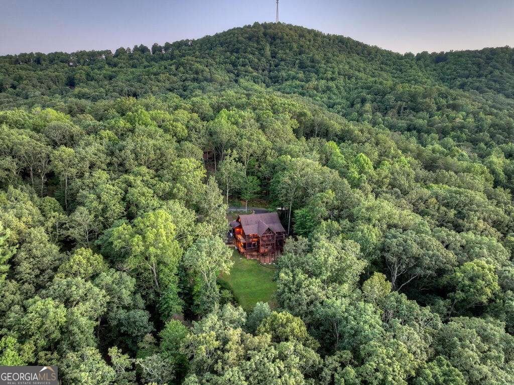 169 Walnut Mountain Road Ellijay - Photo 62