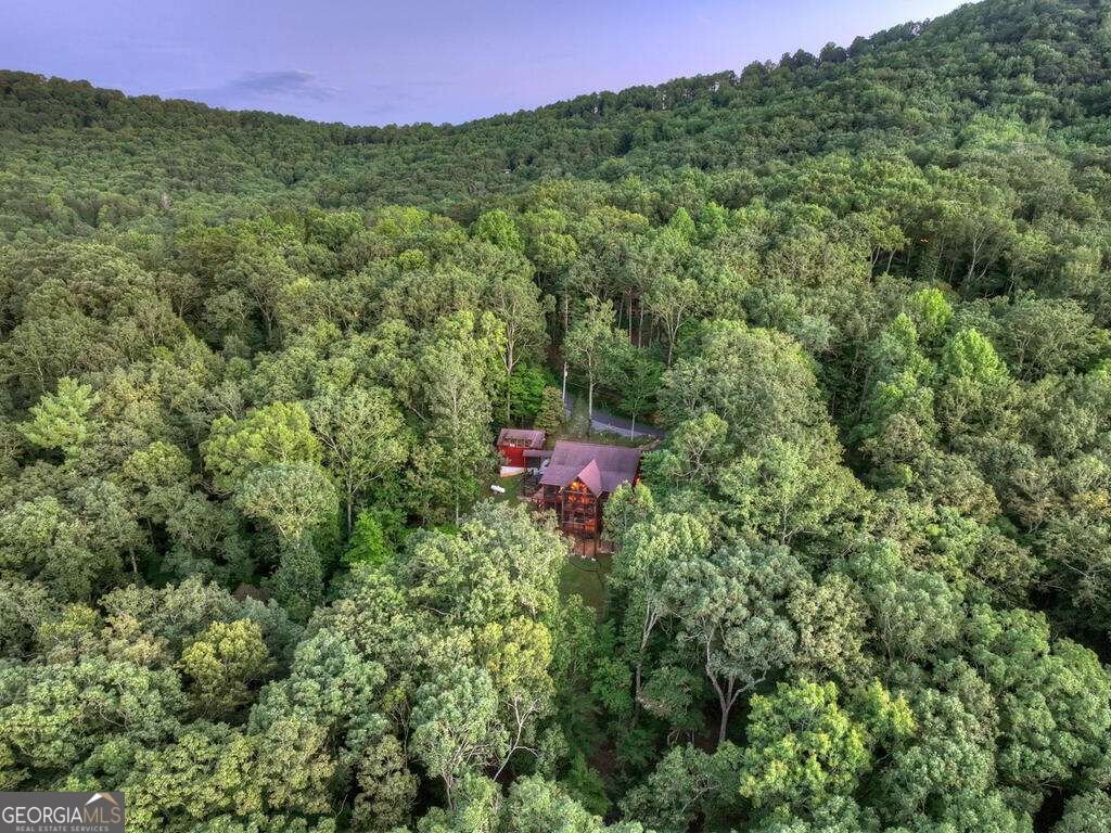 169 Walnut Mountain Road Ellijay - Photo 63